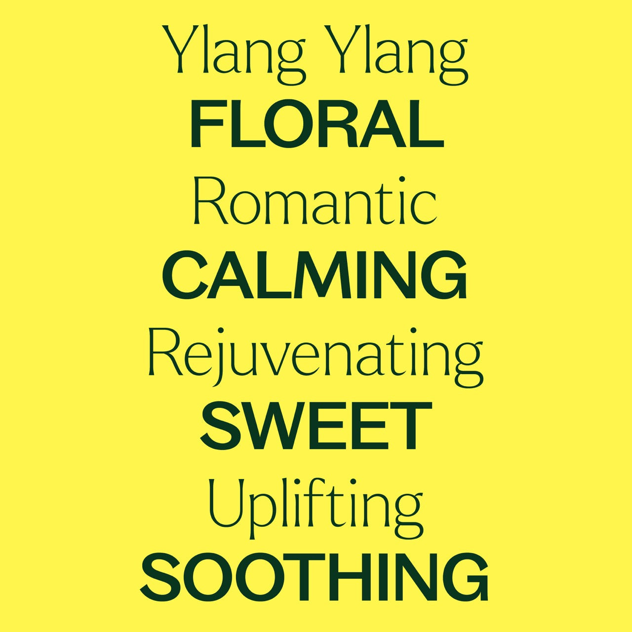 Ylang Ylang Complete Essential Oil