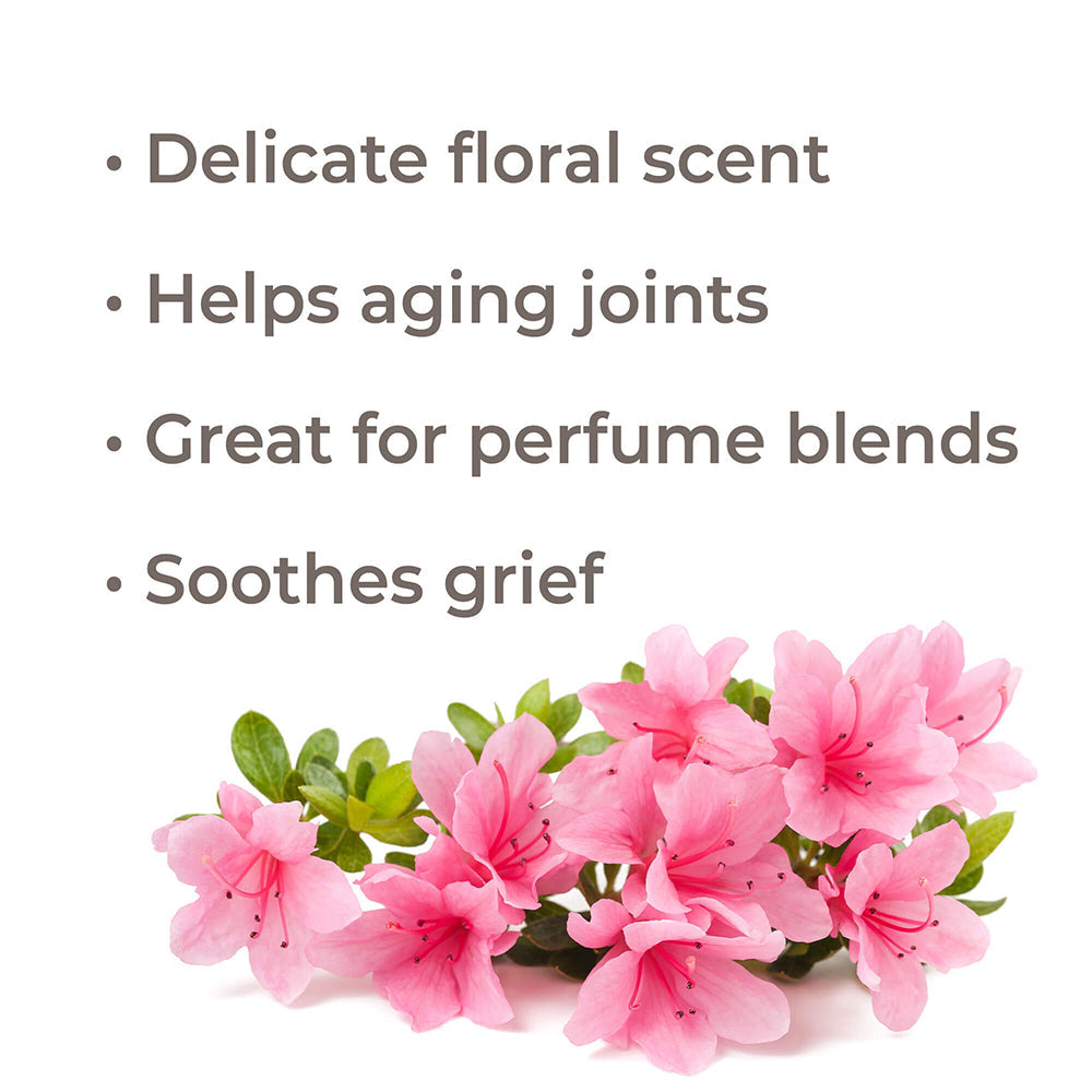 Rhododendron Essential Oil